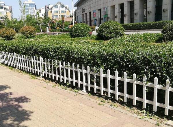 草坪围栏工程草莓APP污视频